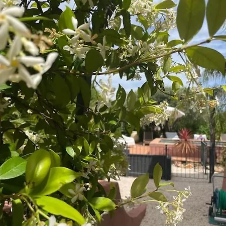 Provencale 4 Etoiles - Piscine & Jardin Zen Vakantiehuis Sainte-Maxime